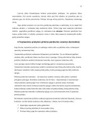 Tarptautinės prekybos organizavimas 15 puslapis