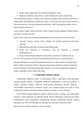 Tarptautinės prekybos organizavimas 16 puslapis