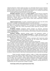 Tarptautinės prekybos organizavimas 10 puslapis