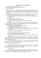 Tarptautinės teisės subjektai