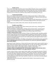 Tarptautinės veiklos reguliavimas 7 puslapis