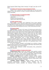 Tarptautiniai ekonominiai santykiai ir ryšiai 11 puslapis