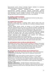 Tarptautiniai ekonominiai santykiai ir ryšiai 12 puslapis