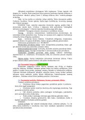 Tarptautiniai ekonominiai santykiai ir ryšiai 5 puslapis