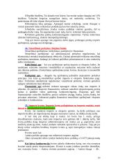 Tarptautiniai ekonominiai santykiai ir ryšiai 10 puslapis