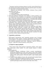 Tarptautinio verslo esmė ir aplinka 2 puslapis