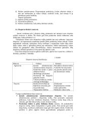 Tarptautinio verslo esmė ir aplinka 3 puslapis