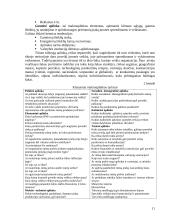 Tarptautinio marketingo paskaitų medžiaga 11 puslapis