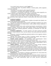 Tarptautinio marketingo paskaitų medžiaga 13 puslapis