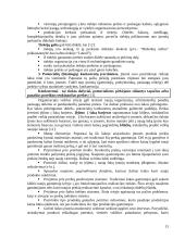 Tarptautinio marketingo paskaitų medžiaga 15 puslapis