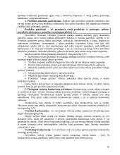 Tarptautinio marketingo paskaitų medžiaga 16 puslapis