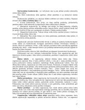 Tarptautinio marketingo paskaitų medžiaga 17 puslapis