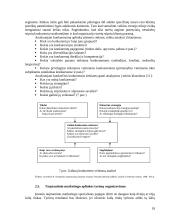 Tarptautinio marketingo paskaitų medžiaga 18 puslapis