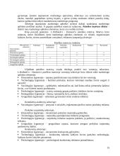 Tarptautinio marketingo paskaitų medžiaga 19 puslapis