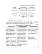 Tarptautinio marketingo paskaitų medžiaga 3 puslapis