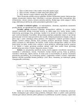 Tarptautinio marketingo paskaitų medžiaga 7 puslapis