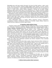 Technikos istorija 6 puslapis