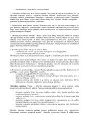 Techninio sprendinio paieškos metodai 2 puslapis