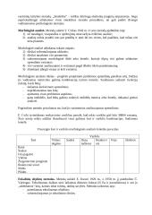 Techninio sprendinio paieškos metodai 3 puslapis