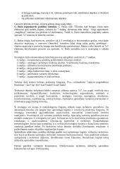 Techninio sprendinio paieškos metodai 4 puslapis