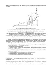 Techninio sprendinio paieškos metodai 5 puslapis