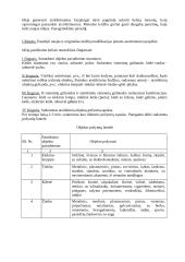 Techninio sprendinio paieškos metodai 6 puslapis