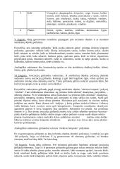 Techninio sprendinio paieškos metodai 7 puslapis