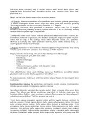 Techninio sprendinio paieškos metodai 8 puslapis