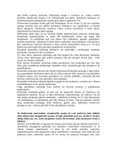 Informacija apie darbo teisę 2 puslapis