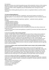 Teisės pagrindiniai požymiai 20 puslapis