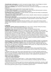 Teisės pagrindiniai požymiai 3 puslapis