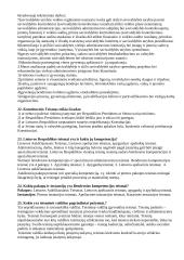 Teisės pagrindiniai požymiai 8 puslapis