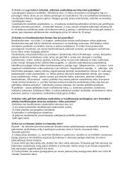 Teisės pagrindiniai požymiai 10 puslapis