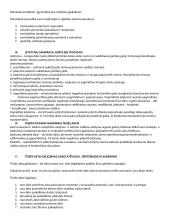 Teorija - įvadas į teisę 12 puslapis