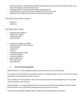 Teorija - įvadas į teisę 16 puslapis