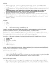 Teorija - įvadas į teisę 4 puslapis