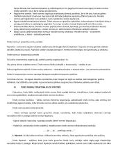 Teorija - įvadas į teisę 5 puslapis