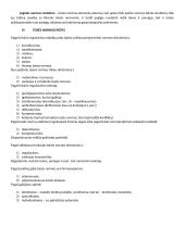 Teorija - įvadas į teisę 7 puslapis