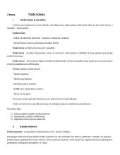 Teorija - įvadas į teisę 8 puslapis