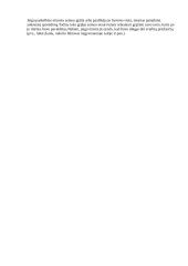 Civilinis kodeksas 3 puslapis