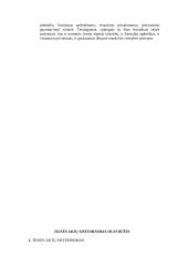 Teisės normos ir teorija 13 puslapis