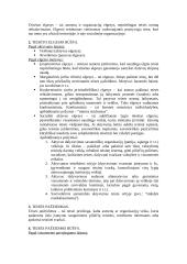 Teisės normos ir teorija 19 puslapis