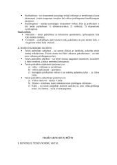 Teisės normos ir teorija 20 puslapis