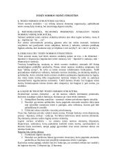 Teisės normos ir teorija 3 puslapis