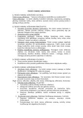 Teisės normos ir teorija 8 puslapis