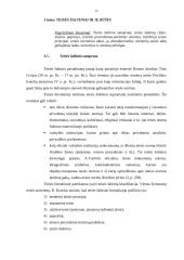 Teisės samprata, norma, šaltiniai bei teisiniai santykiai 12 puslapis