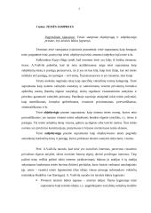 Teisės samprata, norma, šaltiniai bei teisiniai santykiai 3 puslapis