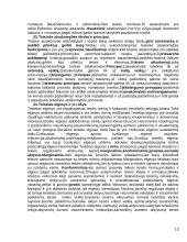 Teisės teorijos ir moralė 13 puslapis