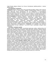 Teisės teorijos ir moralė 14 puslapis