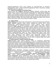 Teisės teorijos ir moralė 4 puslapis